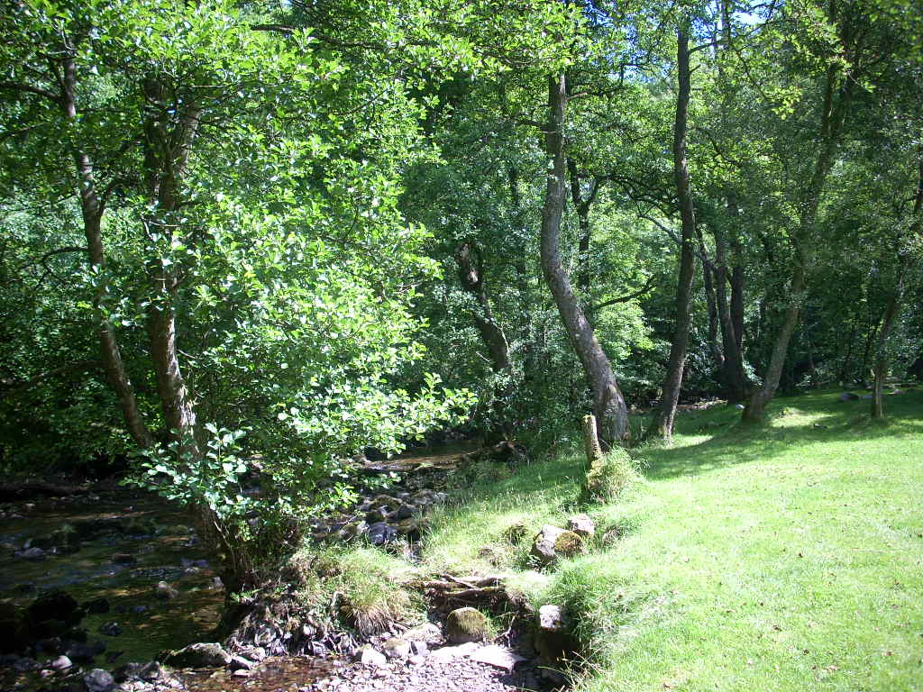 d0145528_455094.jpg