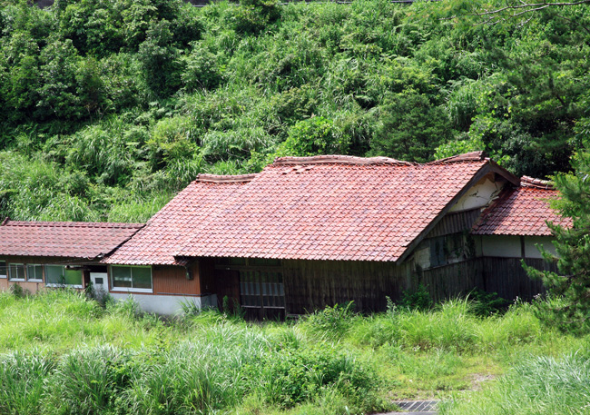 d0147530_6393950.jpg