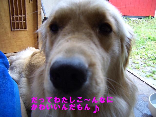 f0176830_1242286.jpg