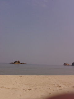 f0090039_1465537.jpg