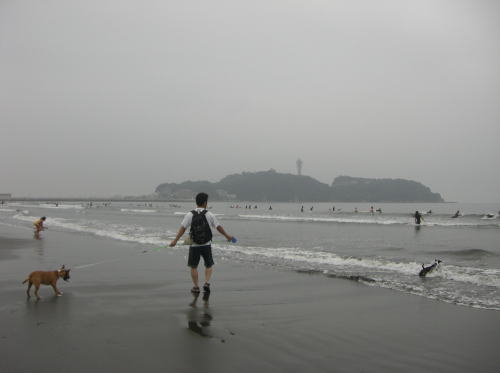 f0094843_2020502.jpg