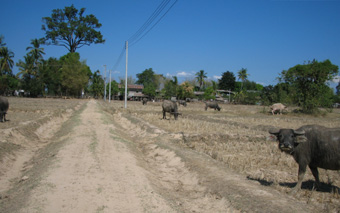 c0161046_2282737.jpg