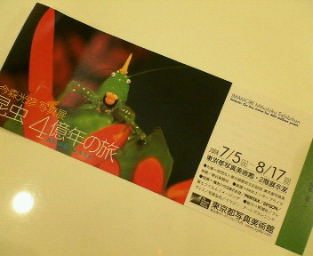 f0073848_1846436.jpg
