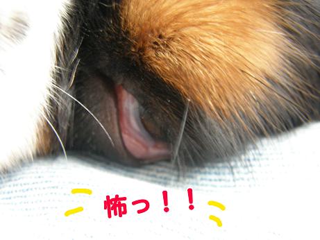c0145250_9264130.jpg