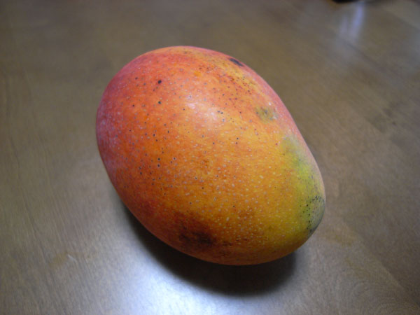 a0004752_2002950.jpg