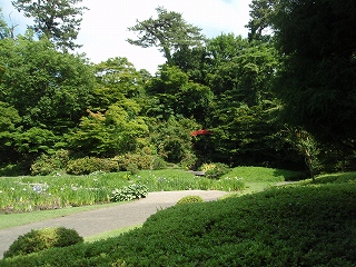 e0004756_212819.jpg