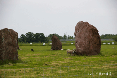 c0095858_225649100.gif