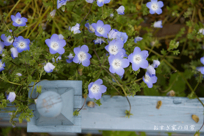 c0095858_236334.gif