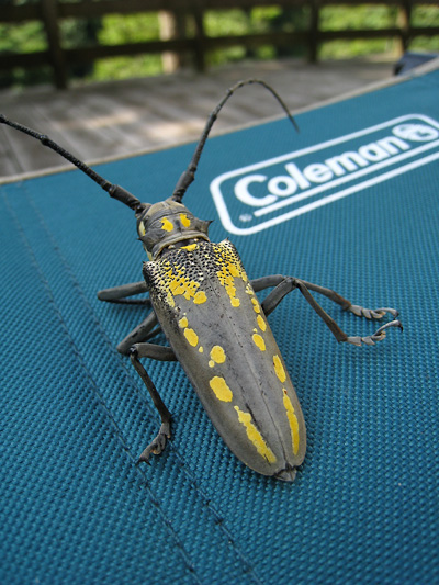 f0162861_104443.jpg