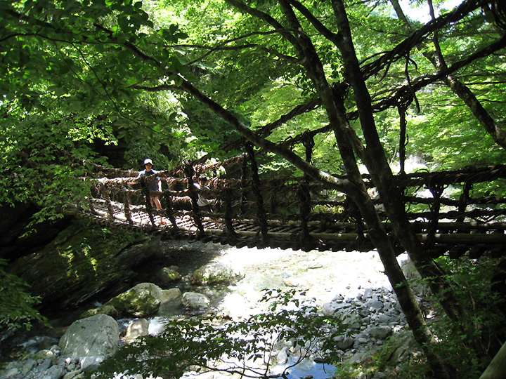 f0162861_10494021.jpg