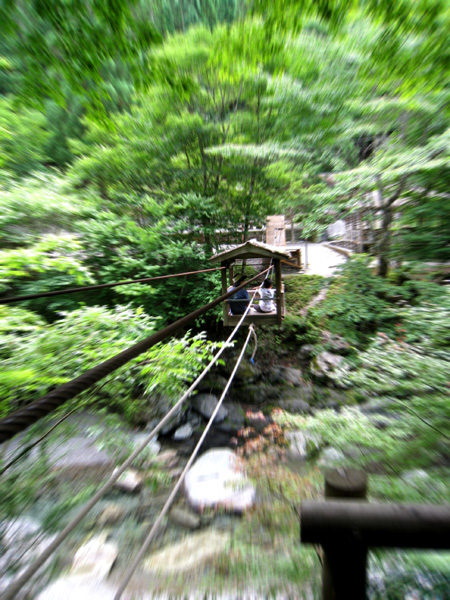 f0162861_1129415.jpg