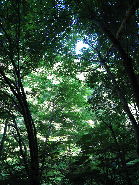 f0162861_15124960.jpg