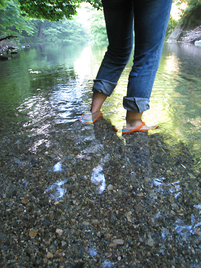 f0162861_15173043.jpg