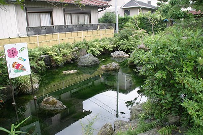 f0106664_6565981.jpg