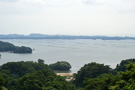 c0032567_1414971.jpg