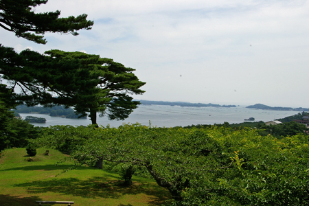c0032567_14325540.jpg