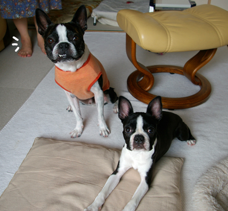 c0032567_1544557.jpg