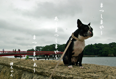 c0032567_15592614.jpg