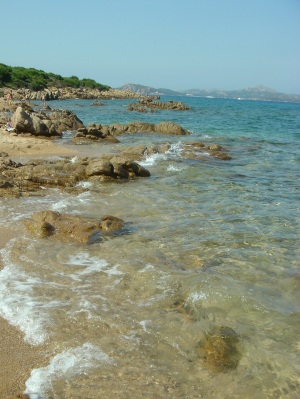c0102268_5135729.jpg