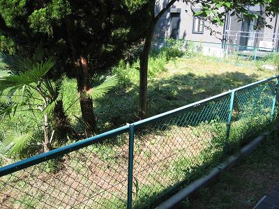 e0031568_15361216.jpg