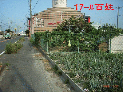c0126271_15471784.gif
