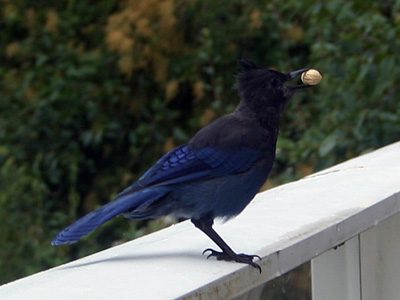 b0000372_14203612.jpg
