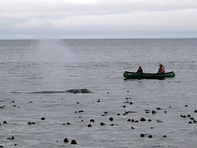 b0000372_1429819.jpg