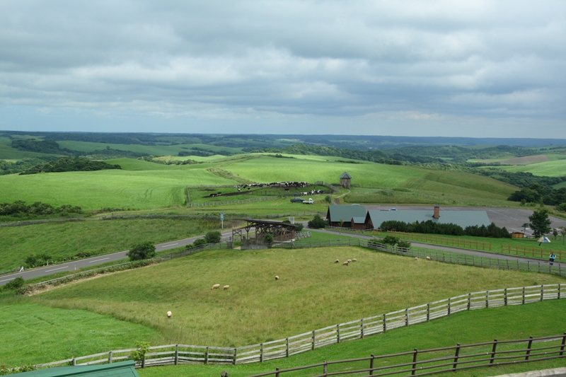 a0016775_23111277.jpg