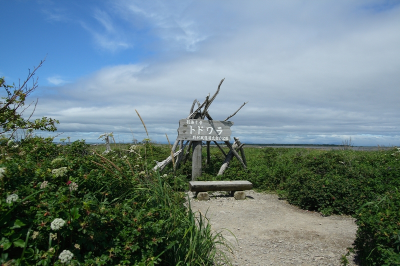 a0016775_233861.jpg