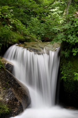 c0151875_07270.jpg