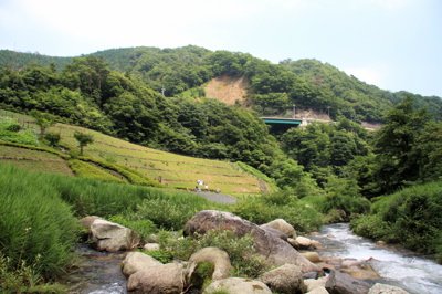 c0151875_1121635.jpg