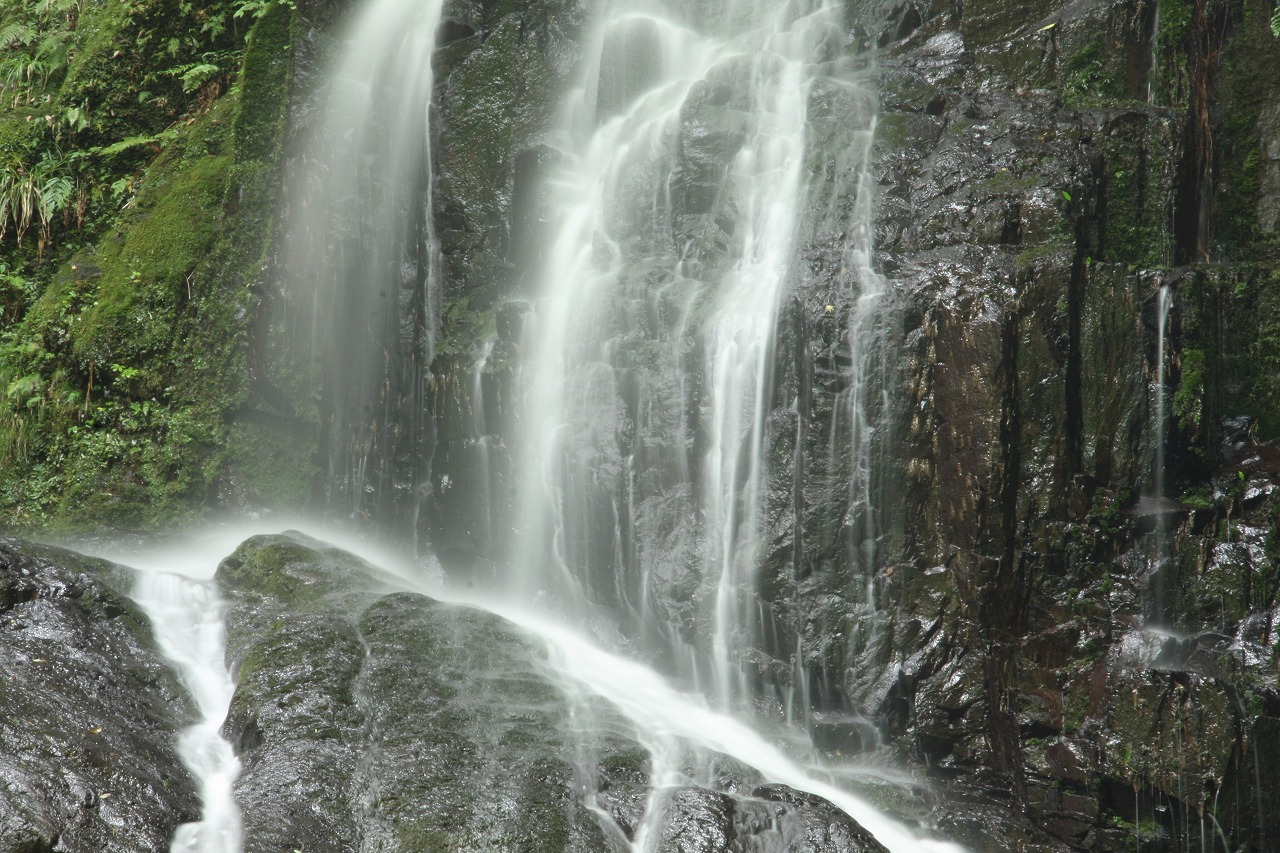 e0018678_22302869.jpg