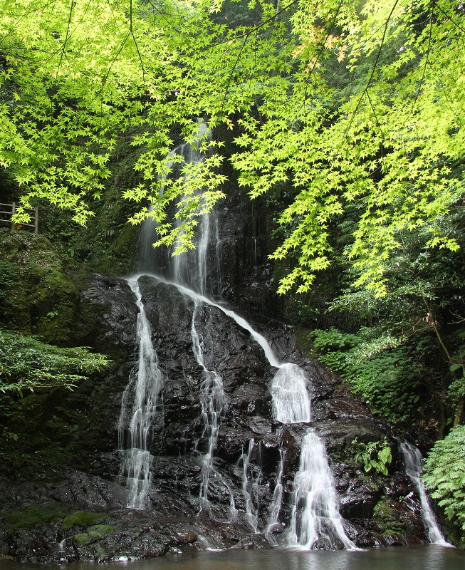 e0018678_22365520.jpg
