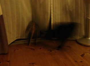 c0135480_1622840.jpg