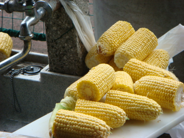f0137694_9134637.jpg
