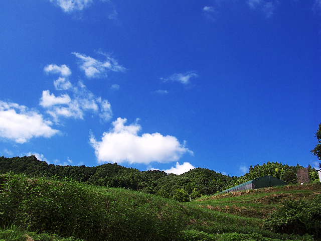 d0069495_18332624.jpg