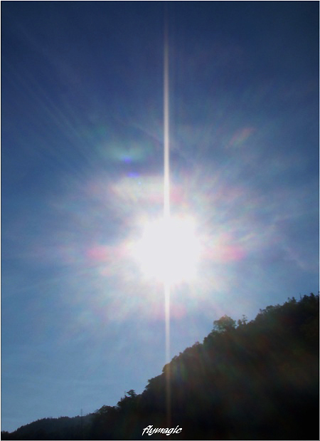 e0035597_224192.jpg