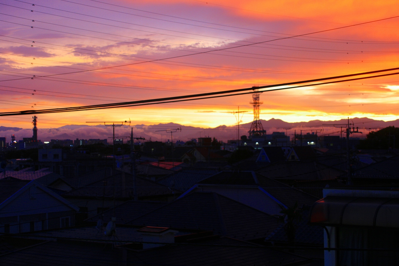 d0077699_20332168.jpg