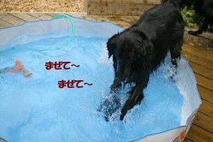 c0050400_1554460.jpg