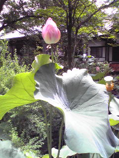e0131904_2303950.jpg