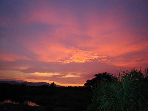 e0123808_03082.jpg
