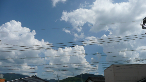 b0019909_23561976.jpg