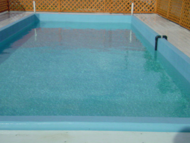 a0074110_0482661.jpg