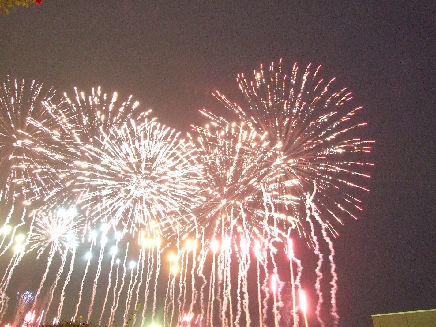 b0061010_16345492.jpg