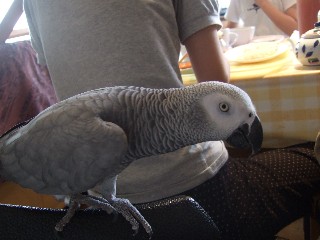 c0133013_23445130.jpg