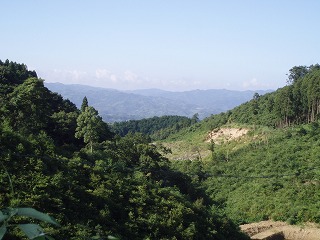 f0092416_1633128.jpg