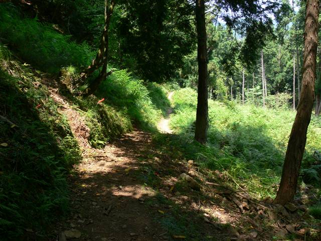c0022820_23224357.jpg