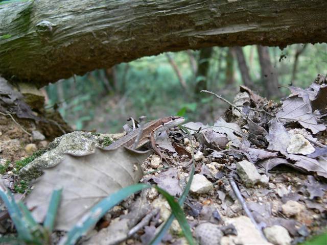 c0022820_2322560.jpg