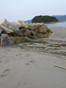 b0133123_1024347.jpg