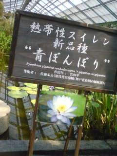 f0128723_133059.jpg